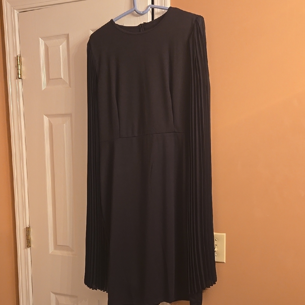 Elegant Black Pleated Sleeve Dress